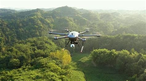 Chinese Bird Drones Border Patrol