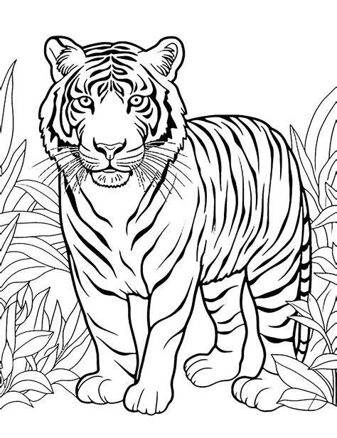 Coloring Page 2 Animals