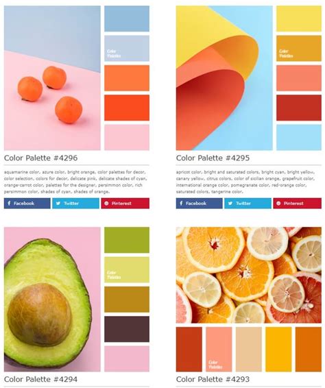 Colour Palette Branding Ideas