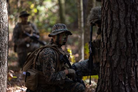 Combat Engineer conducting reconnaissance