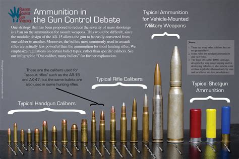 Comparison with Other Ammunition Types