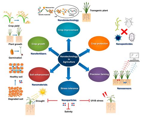 Conversion Application in Various Fields