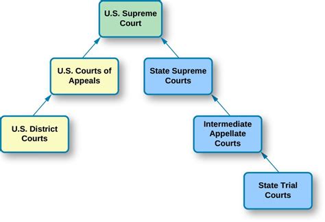 Court System