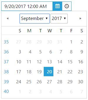 Customizing RCC Calendar