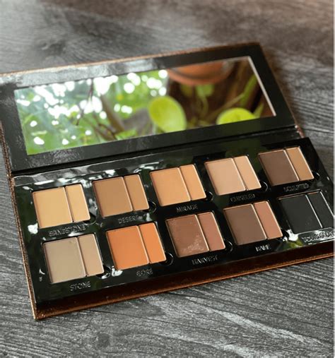 Danessa Myricks Groundwork Palette Reviews