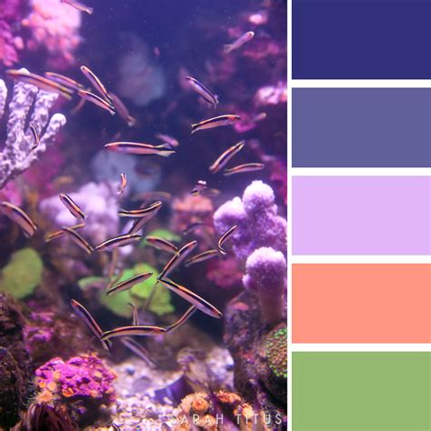 Deep Sea Color Palette