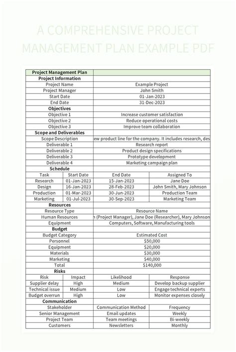 Develop a Comprehensive Project Plan