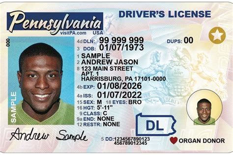 Driver License Update