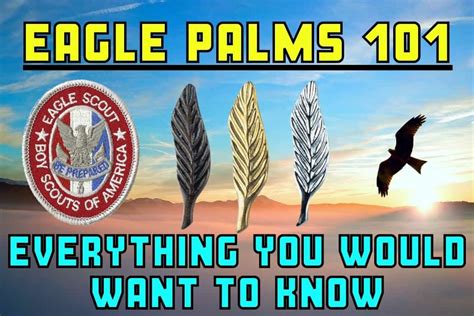 Eagle Scout Palms Overview