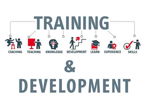 Emphasis on Training and Development