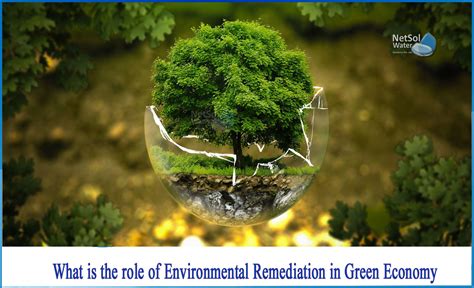 Environmental Remediation Efforts