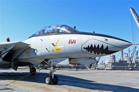 F-14 Tomcat in the air