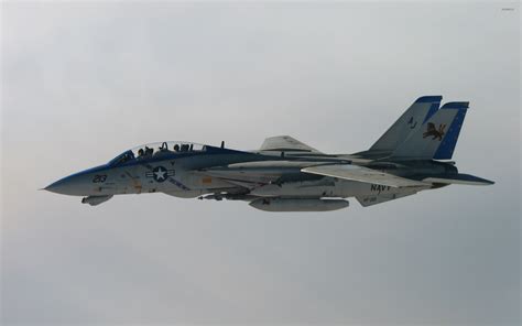 F-14 Tomcat in the air