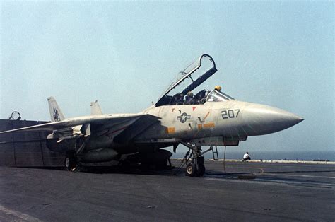 F-14 Tomcat Canopy