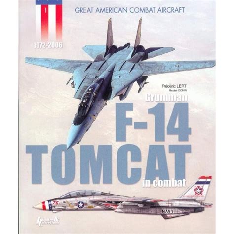 F-14 Tomcat Combat