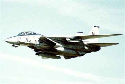 F-14 Tomcat in the air