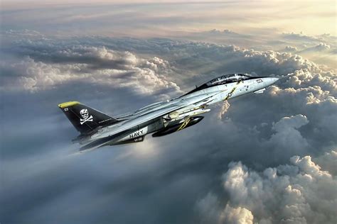 F-14 Tomcat artwork