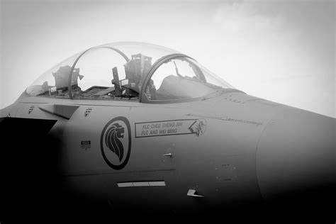 F-15SG Cockpit Heading Indicator