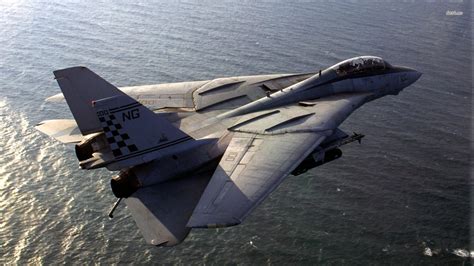 F-14 Tomcat in flight