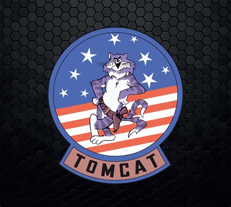 F14 Tomcat Logo Elements