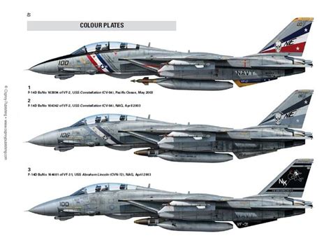 F14 Tomcat Variant