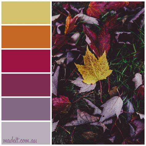 Fall Color Combinations