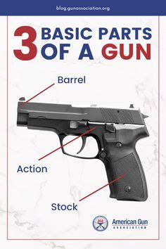 Understanding Your Firearm