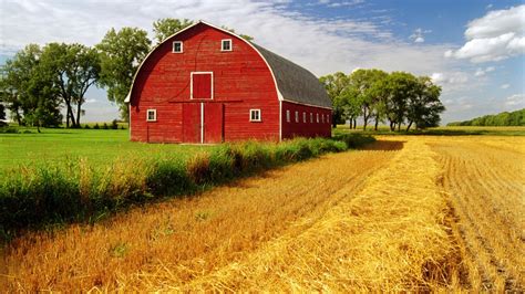 Description of Farm Landscape