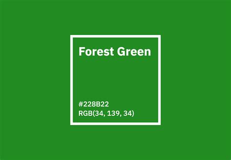 Forest Green Color Representing Nature