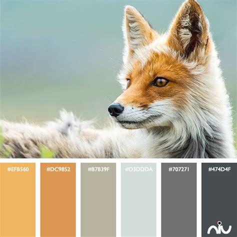 Fox Color Palette