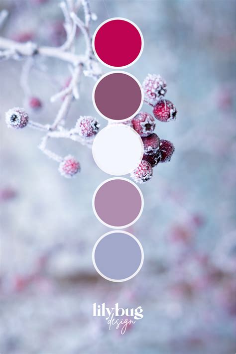 Frosted Berry Color Palette