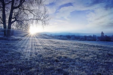 Frosty Morning Winter Color