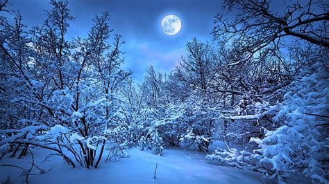 Frosty Night Dark Blue Winter Color