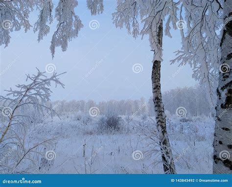 A frosty morning in Russia