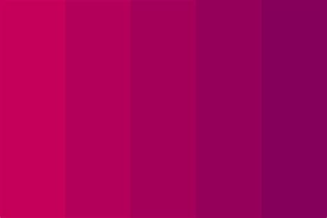 Fuchsia Color Palettes for Web Design