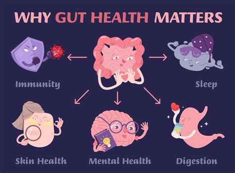 Gut Health Importance