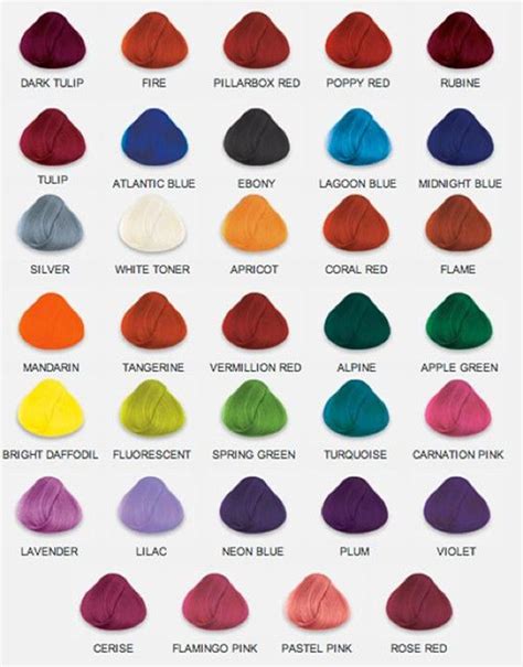 Hair Dye Color Palette