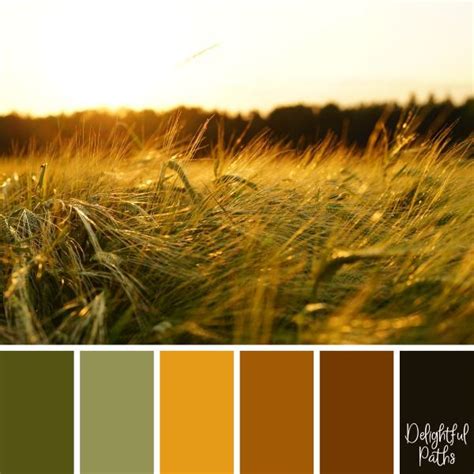 Harvest Delight Color Palette