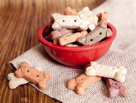 Healthy Dog Treats