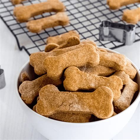 Healthy Pet Treats