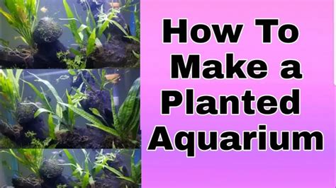 Heavily Planted Tank Tips