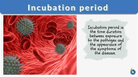 Incubation Period