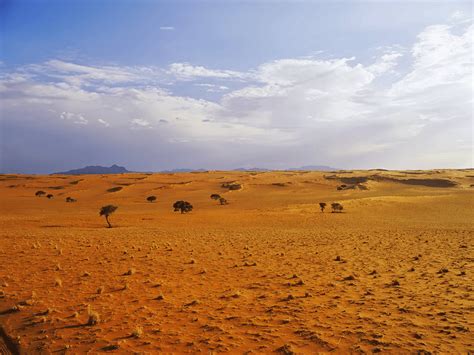 The Battle of 73 Easting was fought in the Iraqi desert