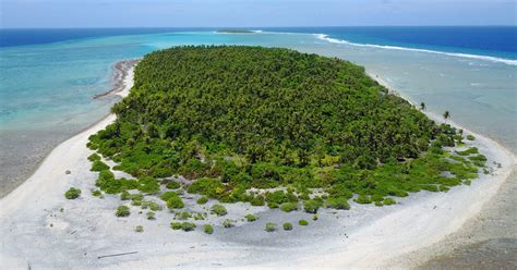 Conservation efforts on Chinese James Island