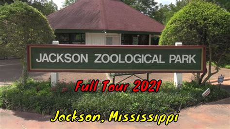 Jackson Zoo Events Image