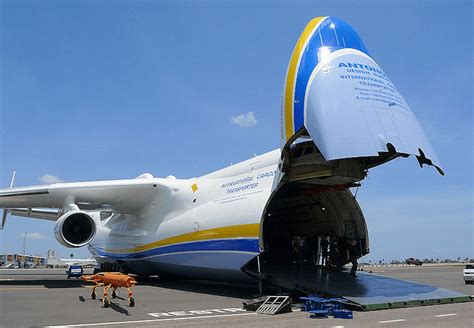 Largest Cargo Plane