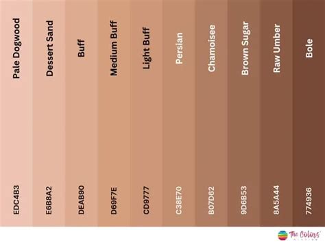 Light brown color palettes