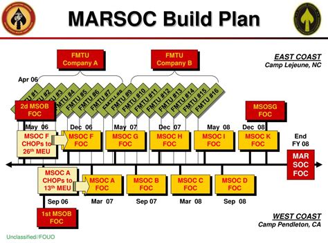 MARSOC Unit Structure