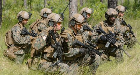 Marine Corps Grunt Tactical Operations