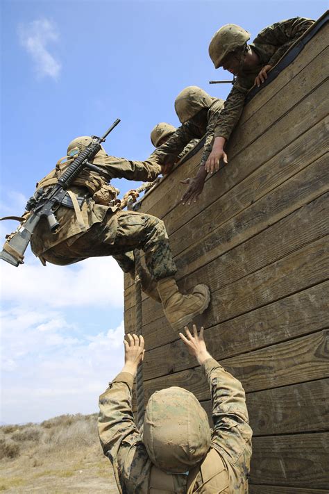 Marine Corps Teamwork